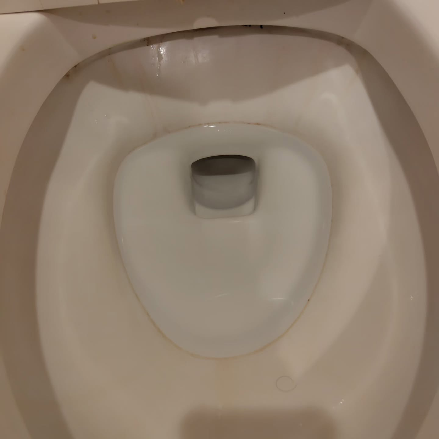 トイレ清掃のプロが実践する手順には、一般的な家庭清掃と異なる...