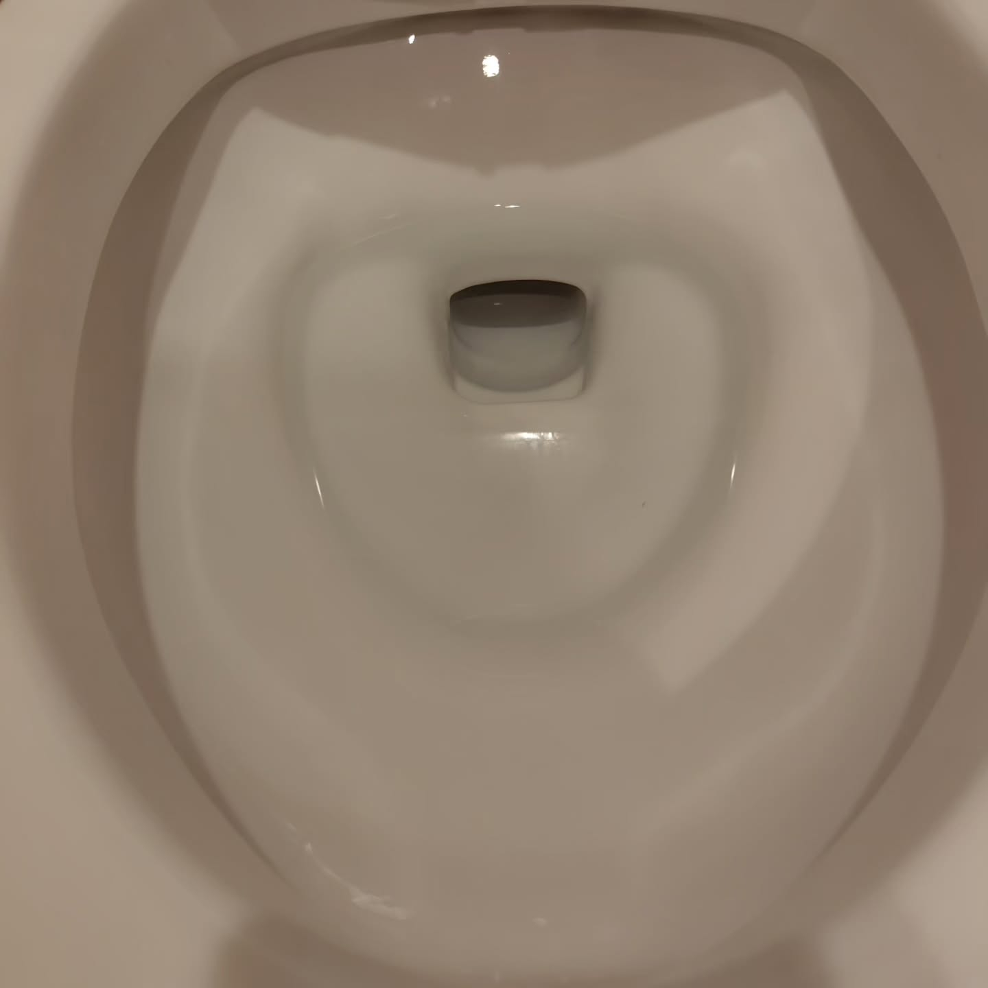 トイレ清掃のプロが実践する手順には、一般的な家庭清掃と異なる...