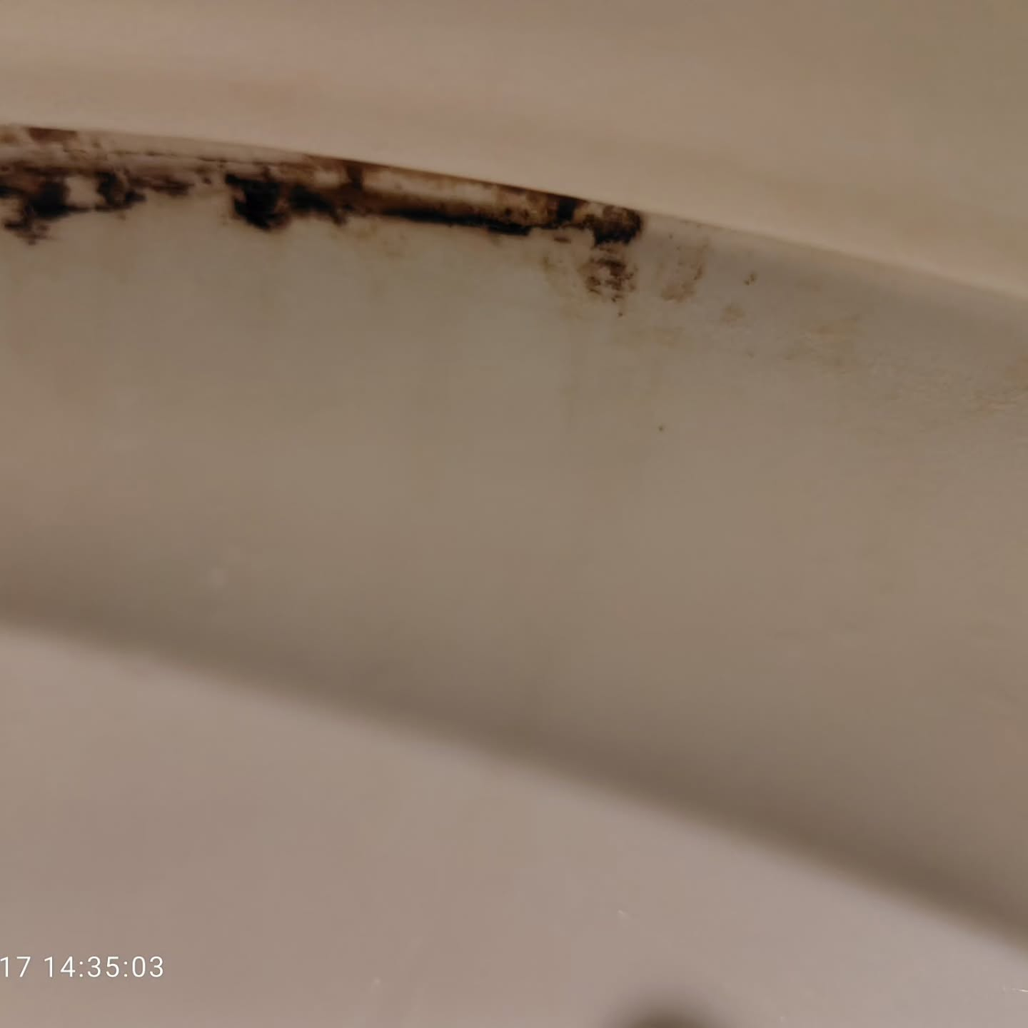 トイレ清掃のプロが実践する手順には、一般的な家庭清掃と異なる...