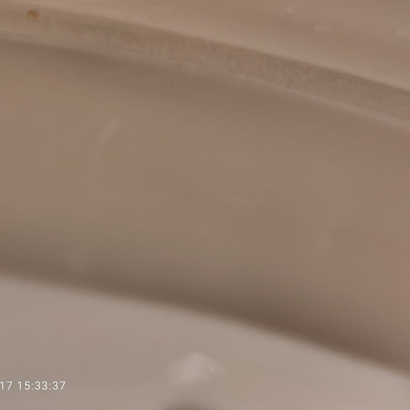 トイレ清掃のプロが実践する手順には、一般的な家庭清掃と異なる...