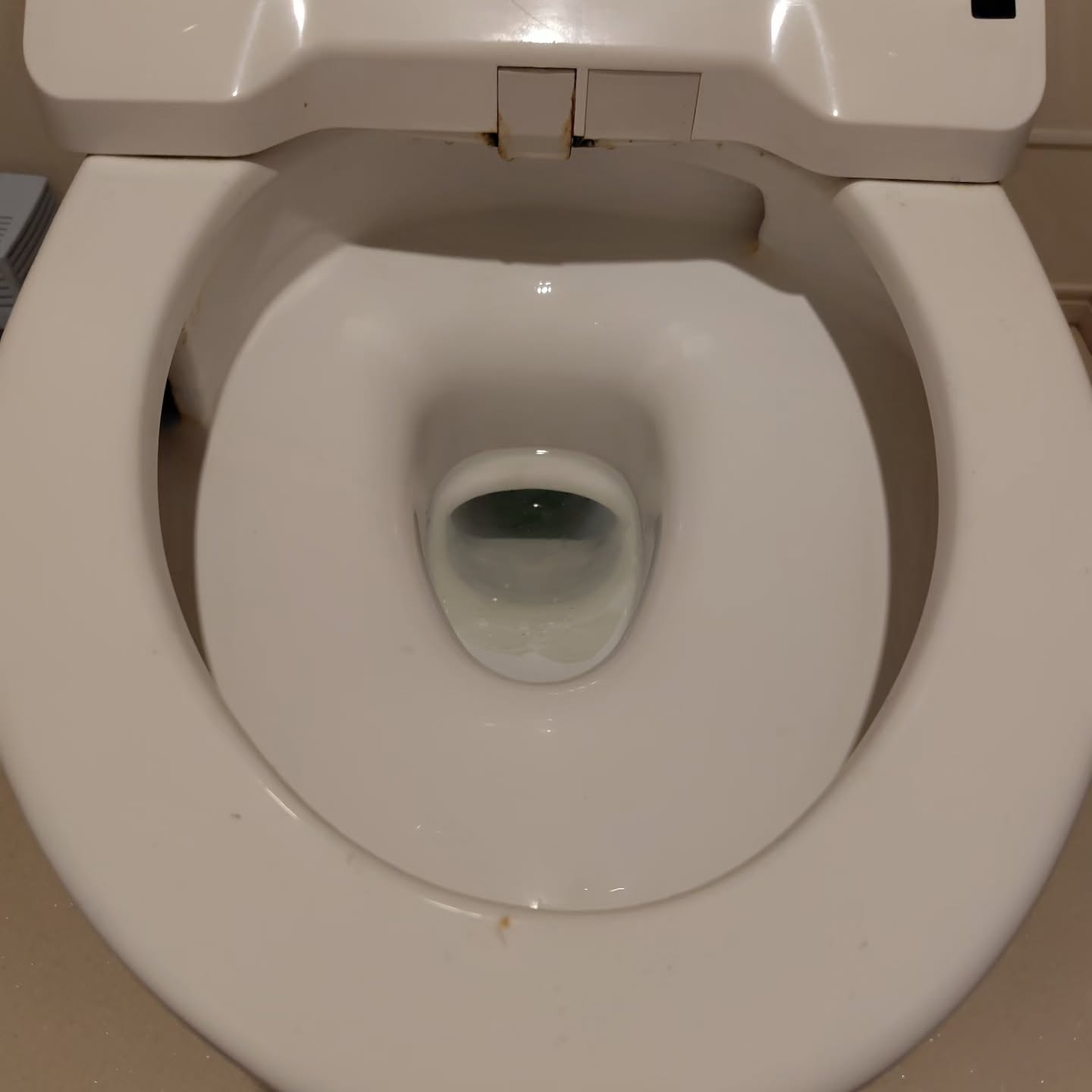 トイレ清掃のプロが実践する手順には、一般的な家庭清掃と異なる...
