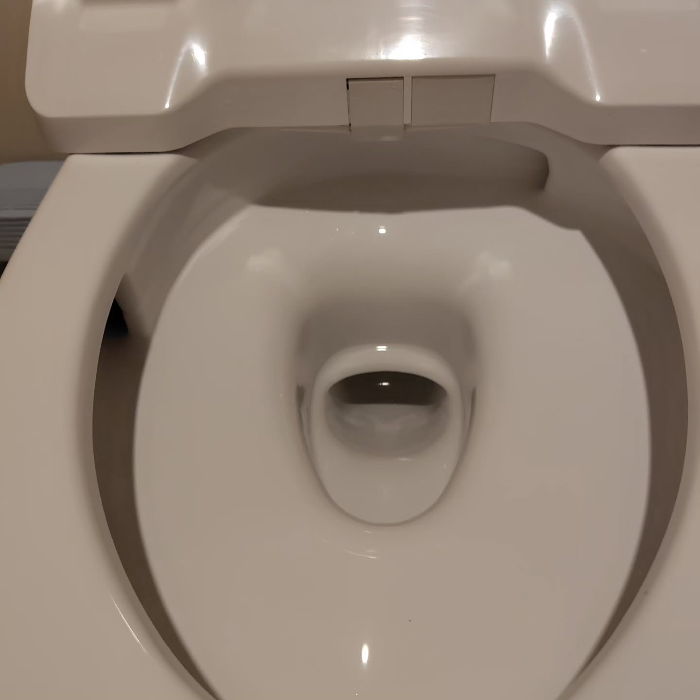 トイレ清掃のプロが実践する手順には、一般的な家庭清掃と異なる...