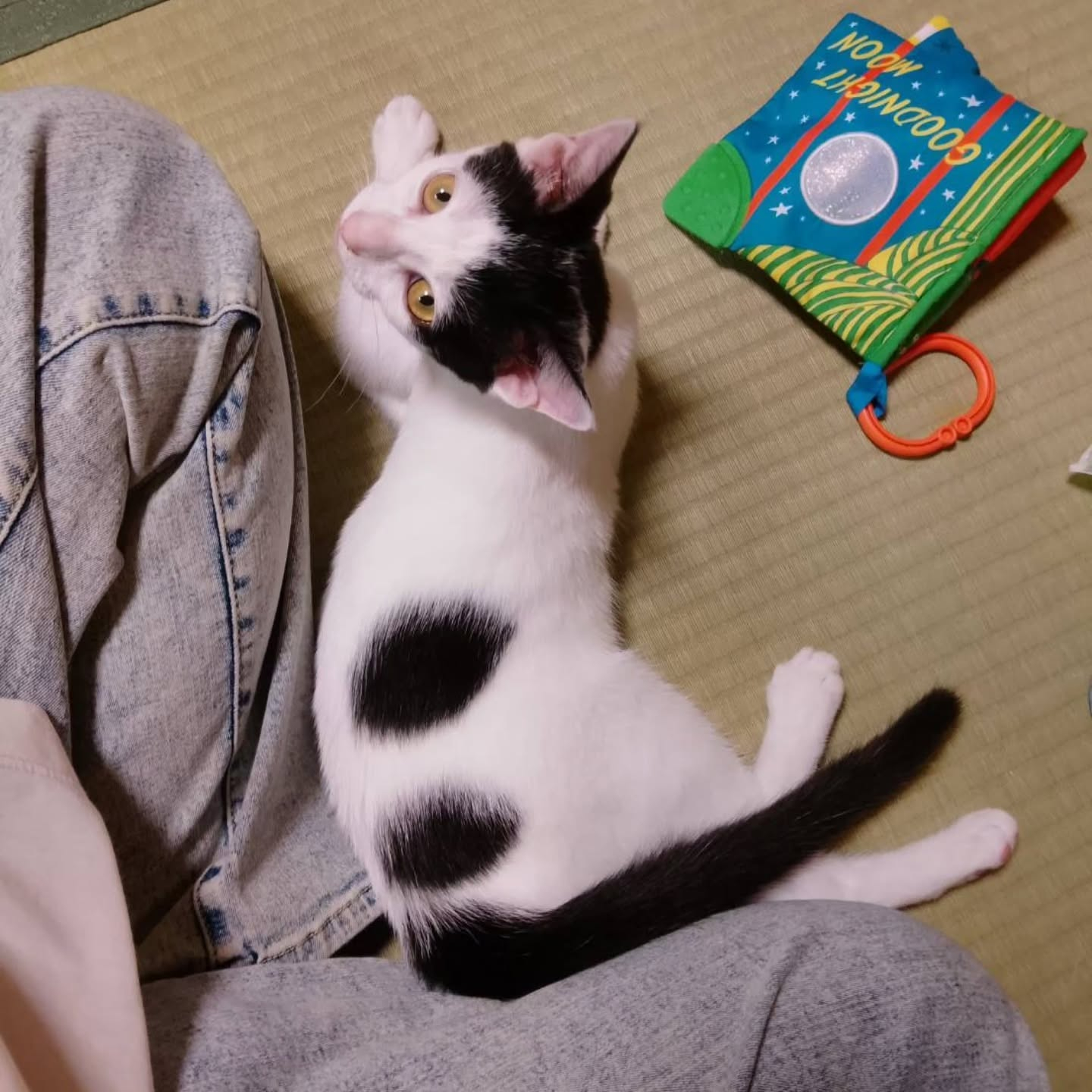 新しい生活で成長中