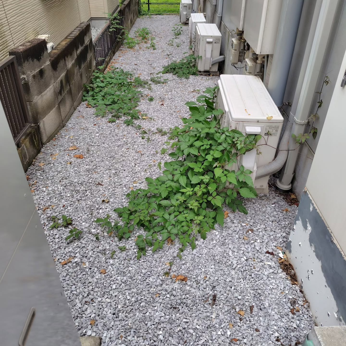 共用スペースの衛生を大切にしています。
