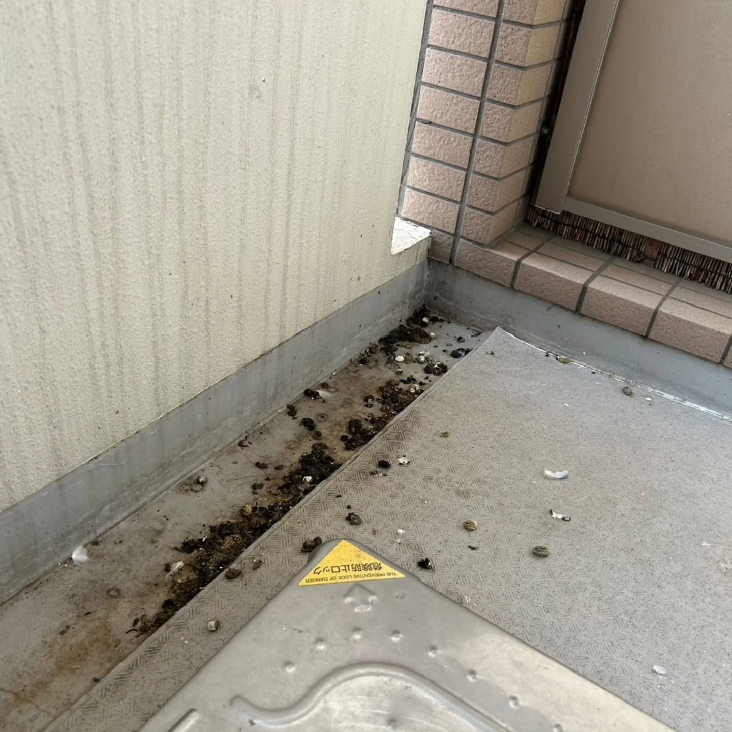 ベランダに鳥の痕跡が気になる方へ。
