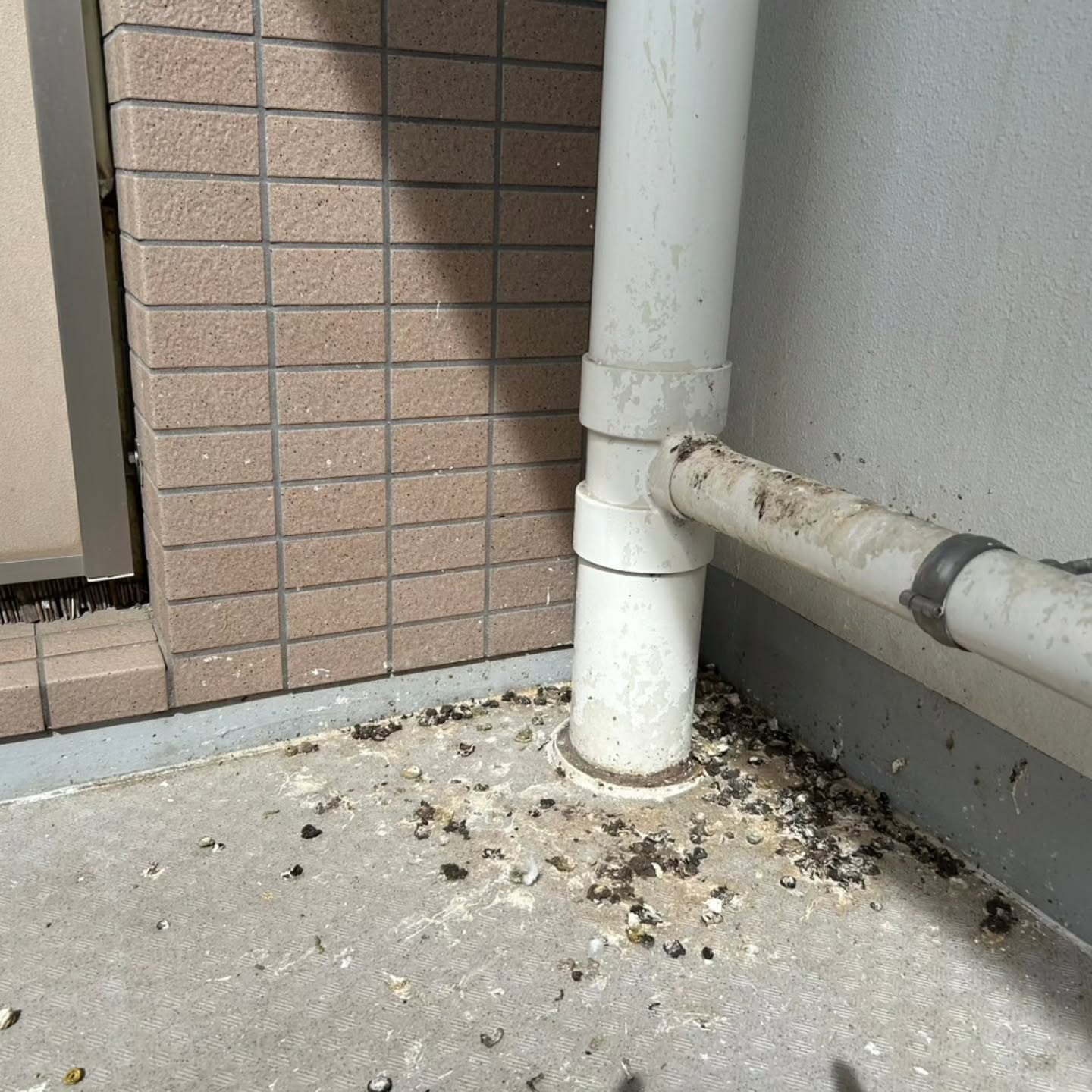 ベランダに鳥の痕跡が気になる方へ。