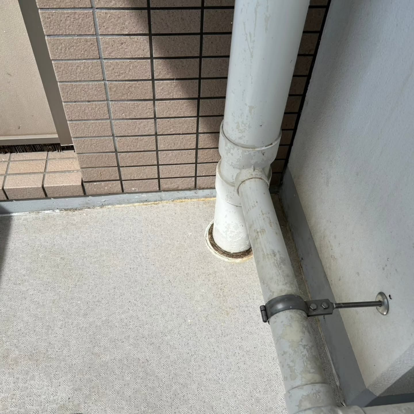 ベランダに鳥の痕跡が気になる方へ。