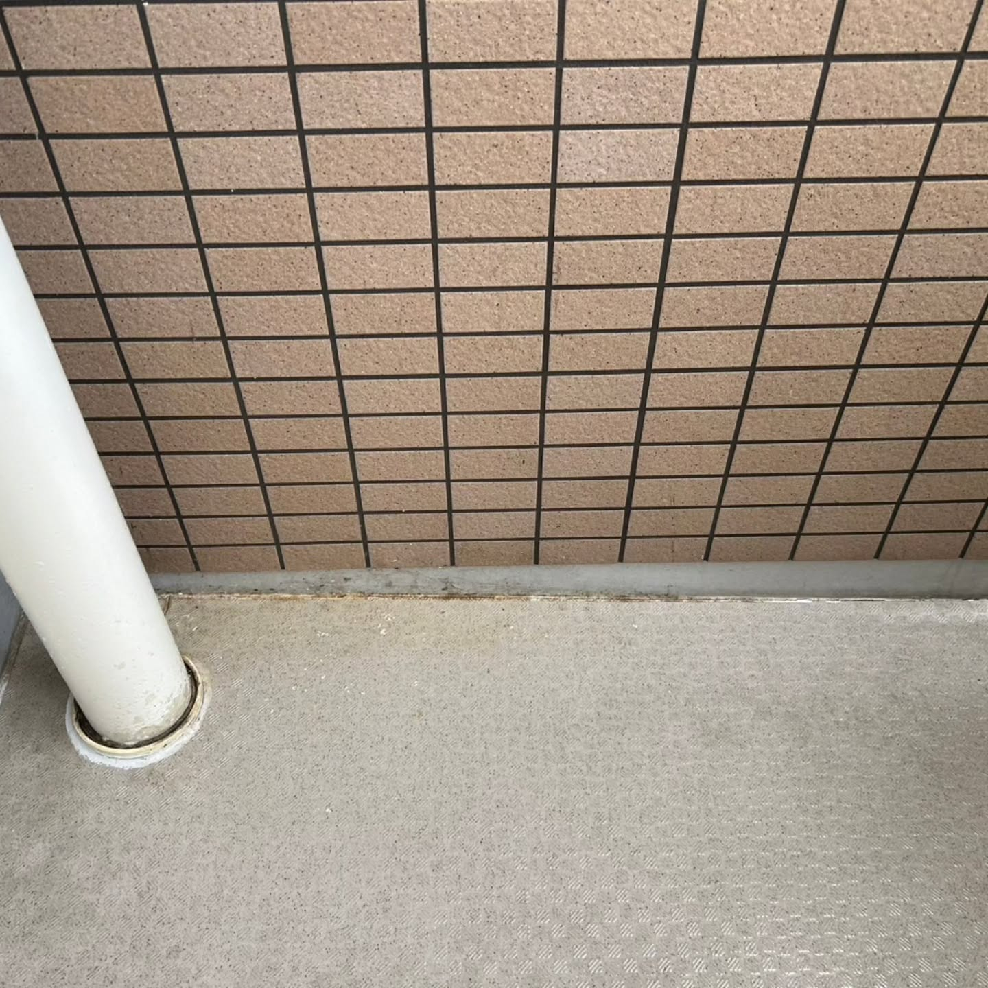 ベランダに鳥の痕跡が気になる方へ。