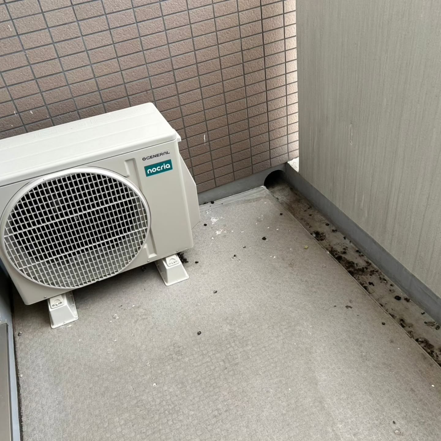 ベランダに鳥の痕跡が気になる方へ。