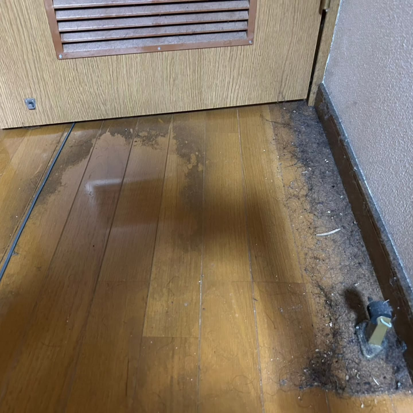 床の汚れ、ずっと気になっていませんでしたか？