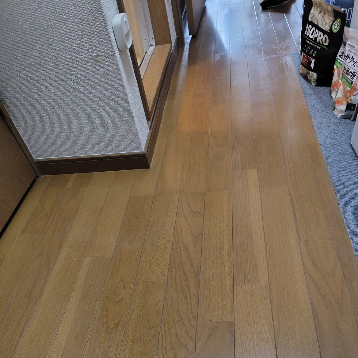 床の汚れ、ずっと気になっていませんでしたか？