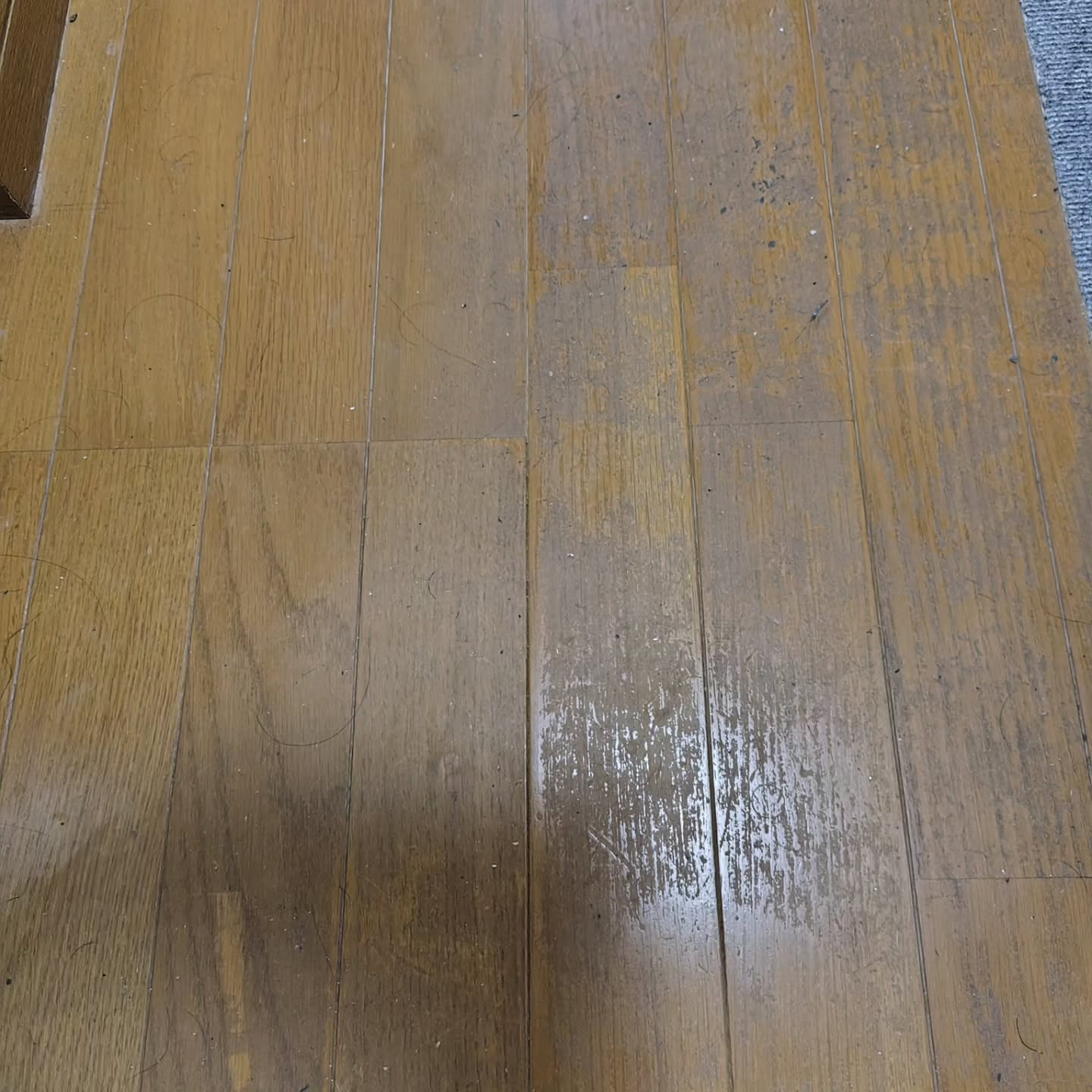 床の汚れ、ずっと気になっていませんでしたか？