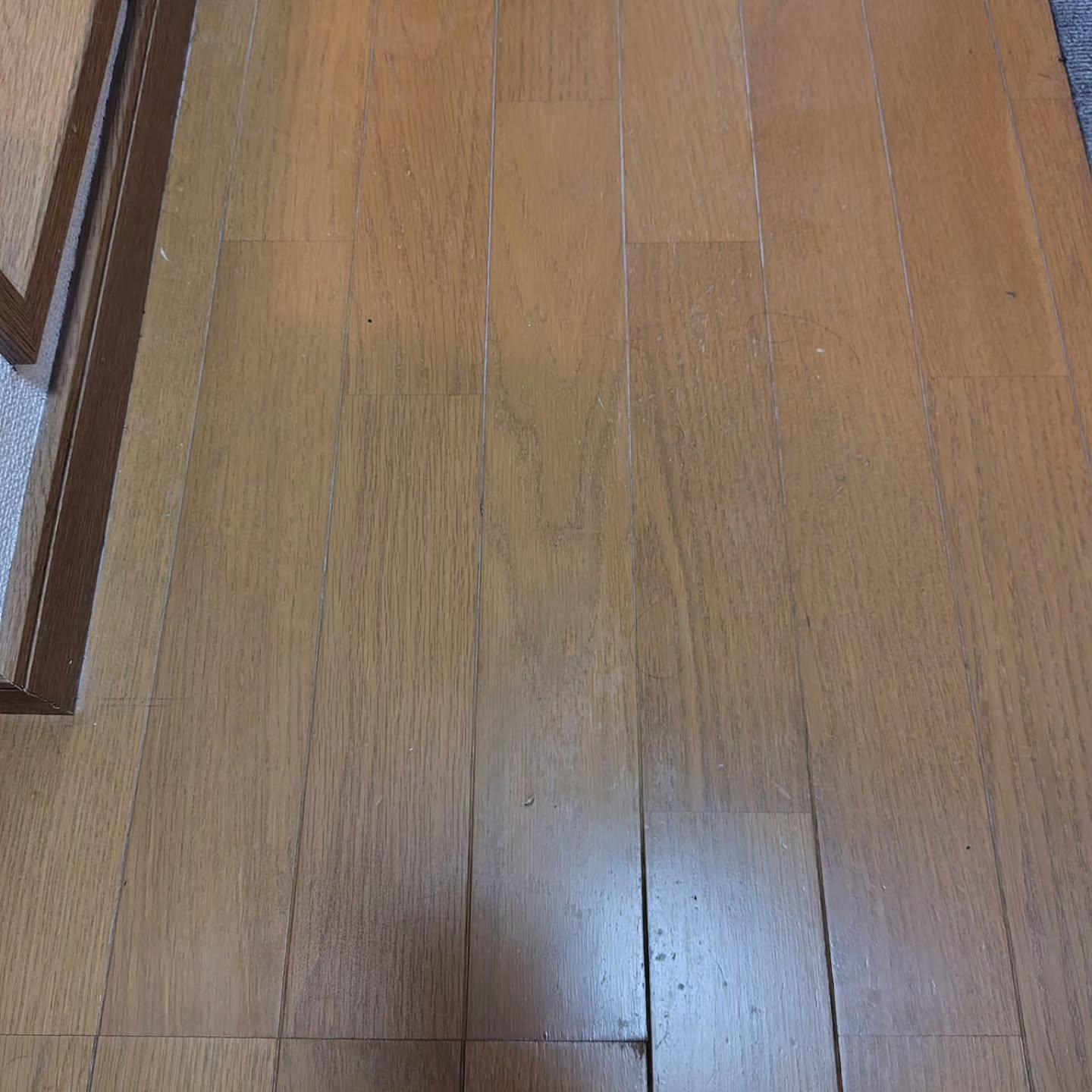 床の汚れ、ずっと気になっていませんでしたか？