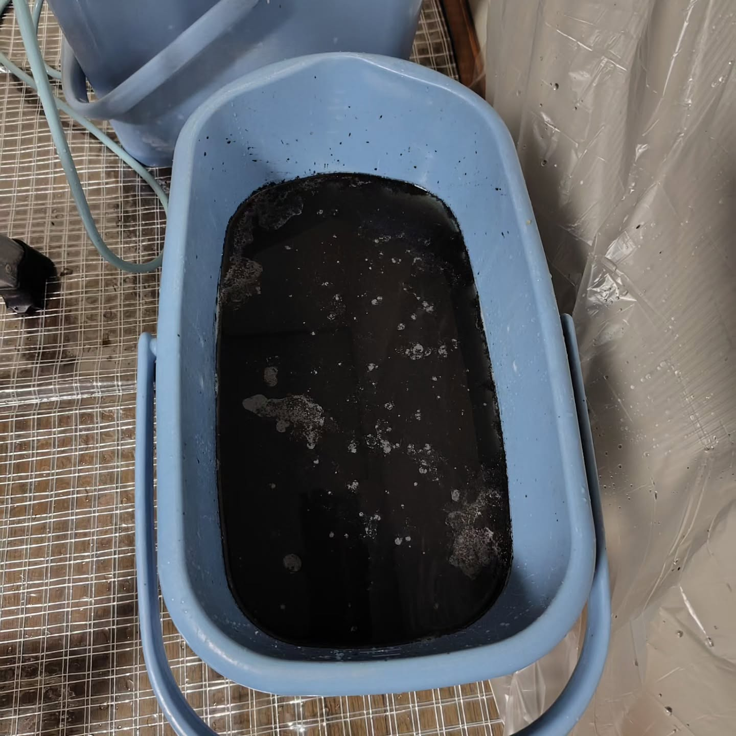 凍結洗浄だけで安心していませんか？