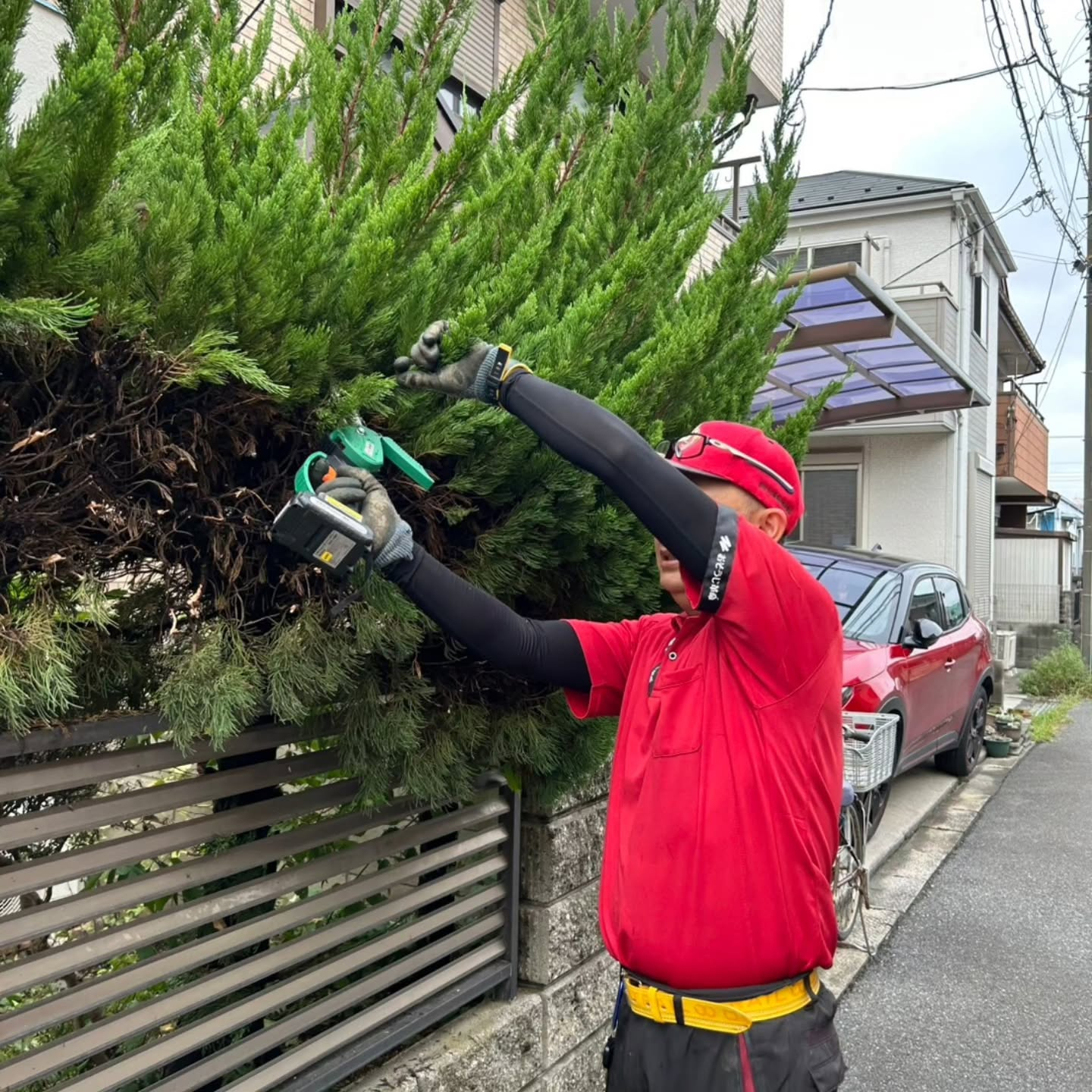 今年最後のお庭のお手入れへ。