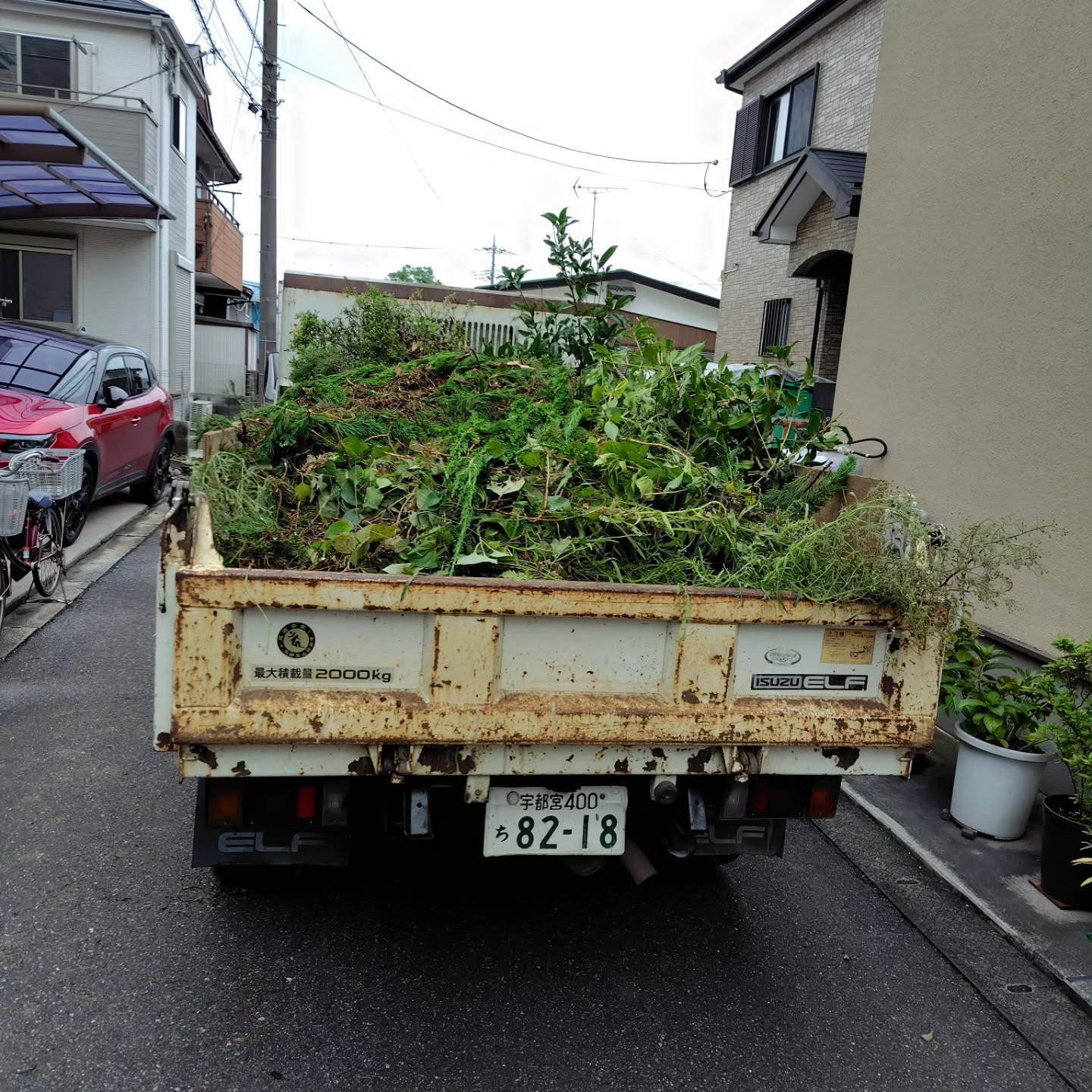 今年最後のお庭のお手入れへ。