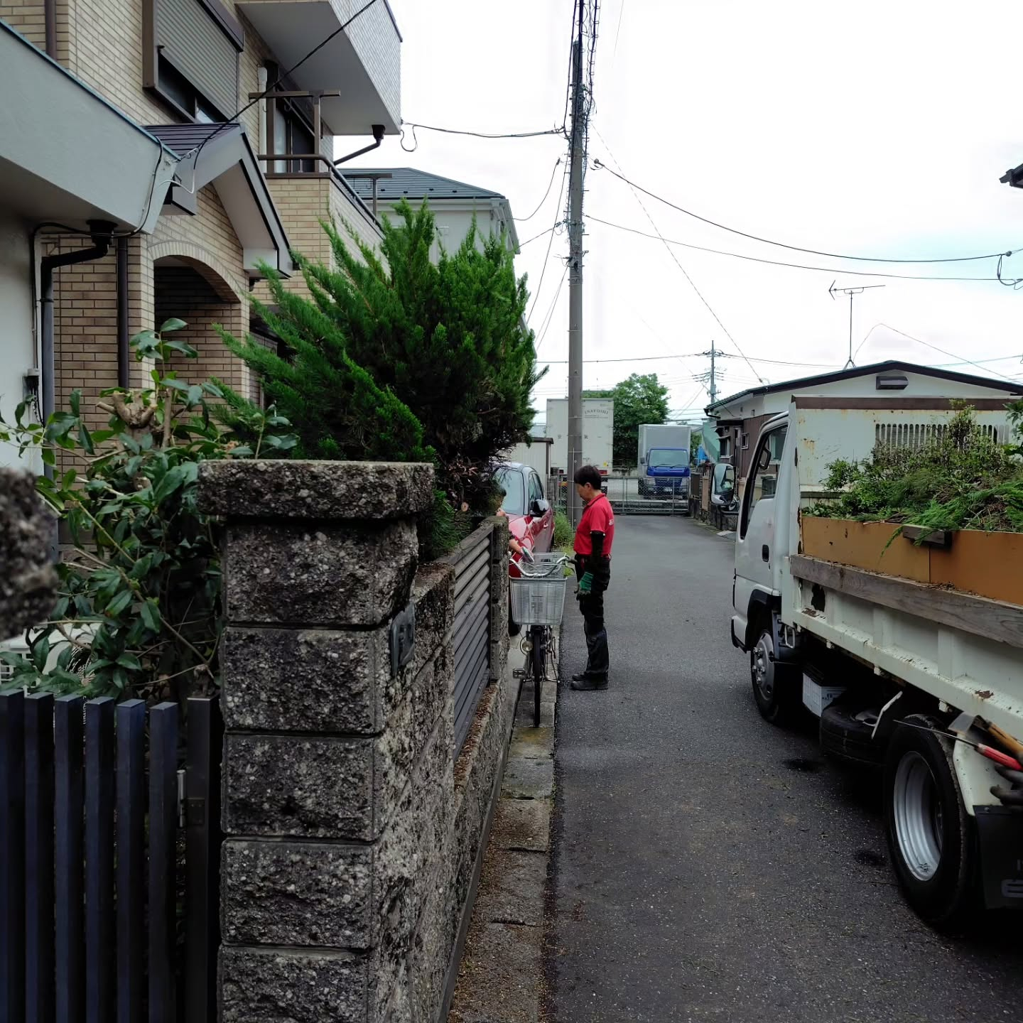 今年最後のお庭のお手入れへ。