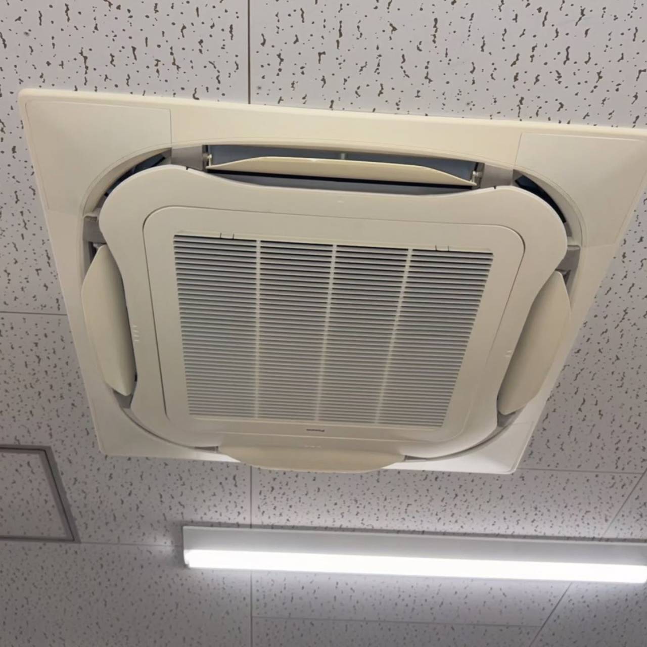 今日は少し肌寒い日でしたが、職人魂で乗り切りました。