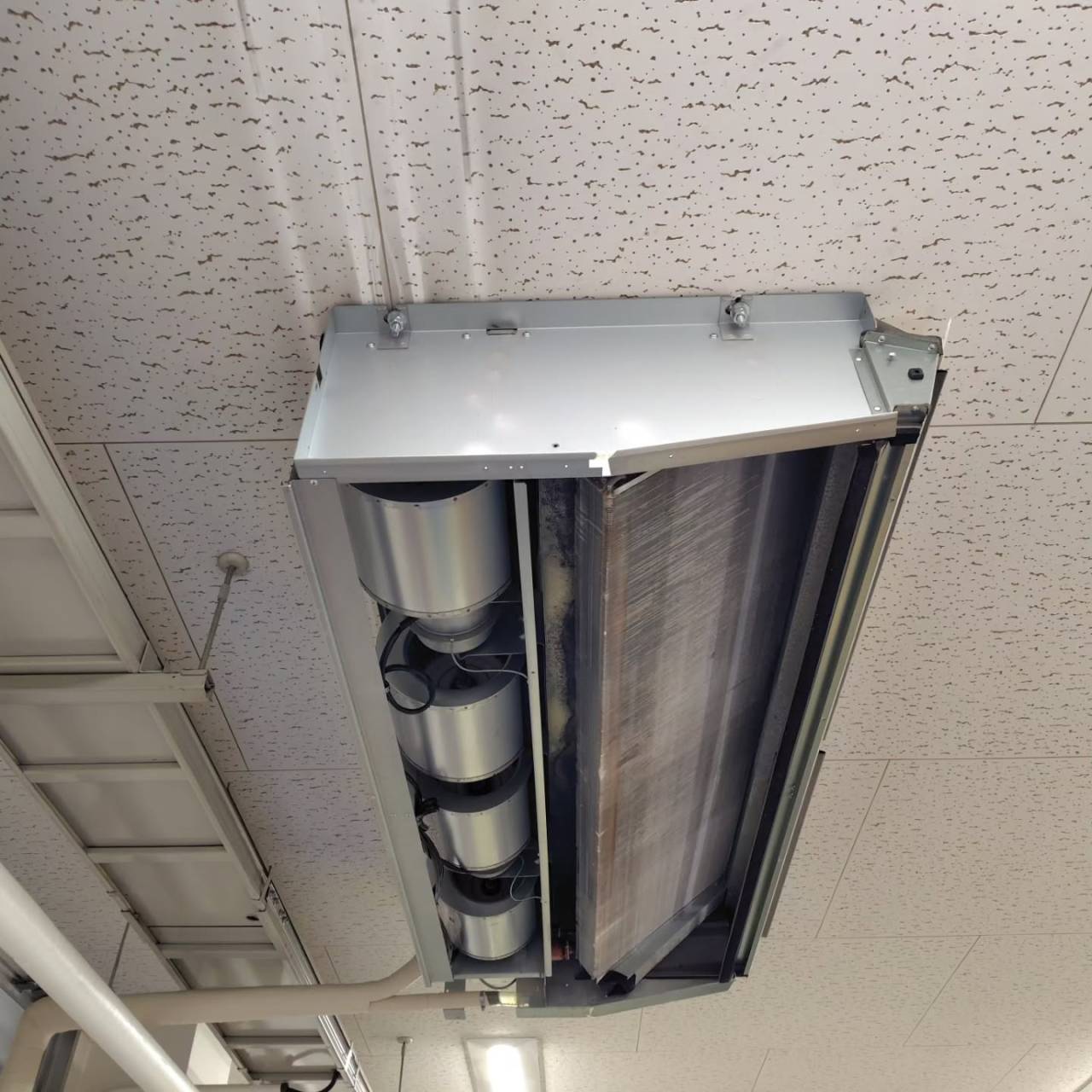 今日は少し肌寒い日でしたが、職人魂で乗り切りました。