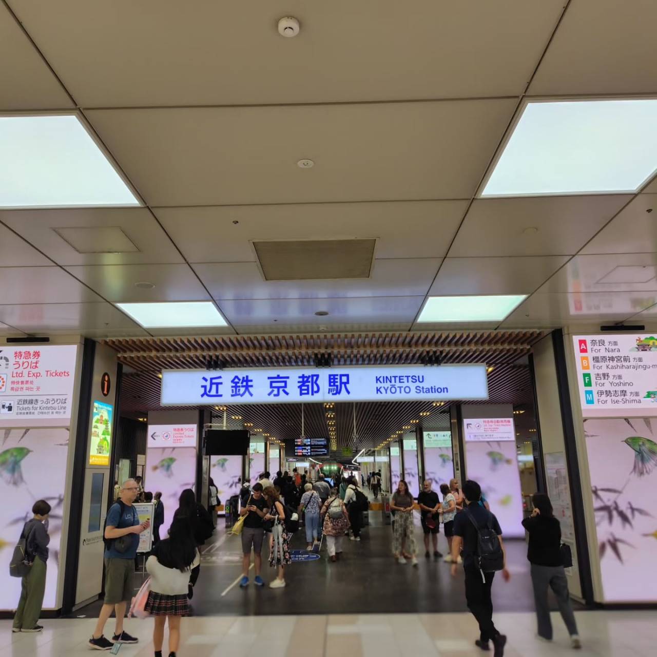 奈良の魅力を再発見する旅へ。
