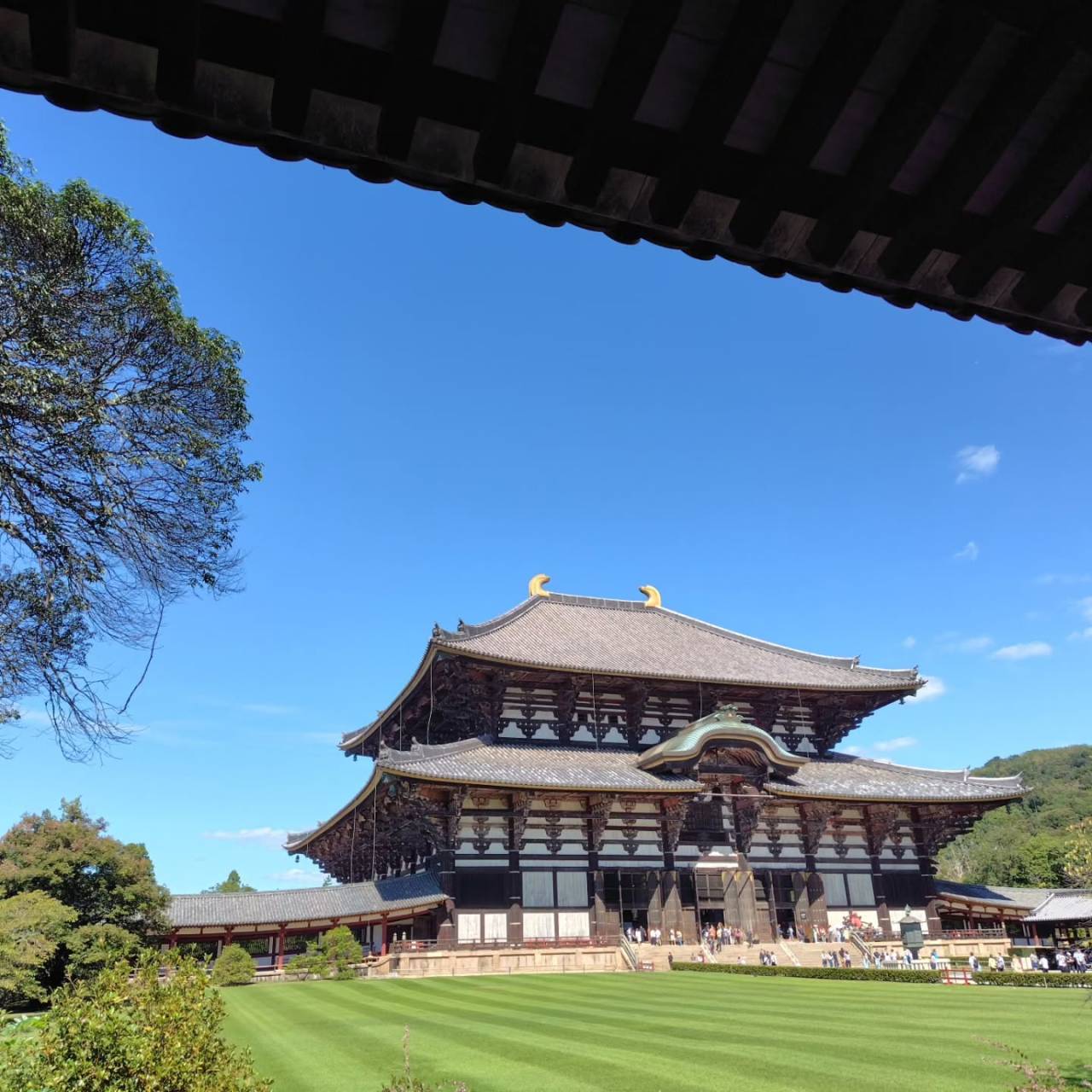 奈良での歴史探訪が思い出になりました。