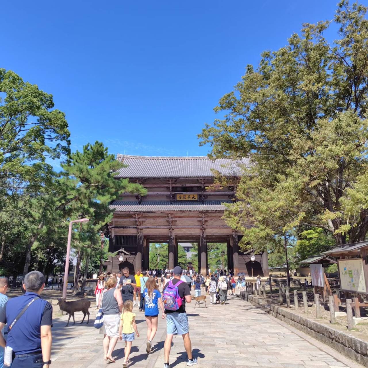 奈良での歴史探訪が思い出になりました。