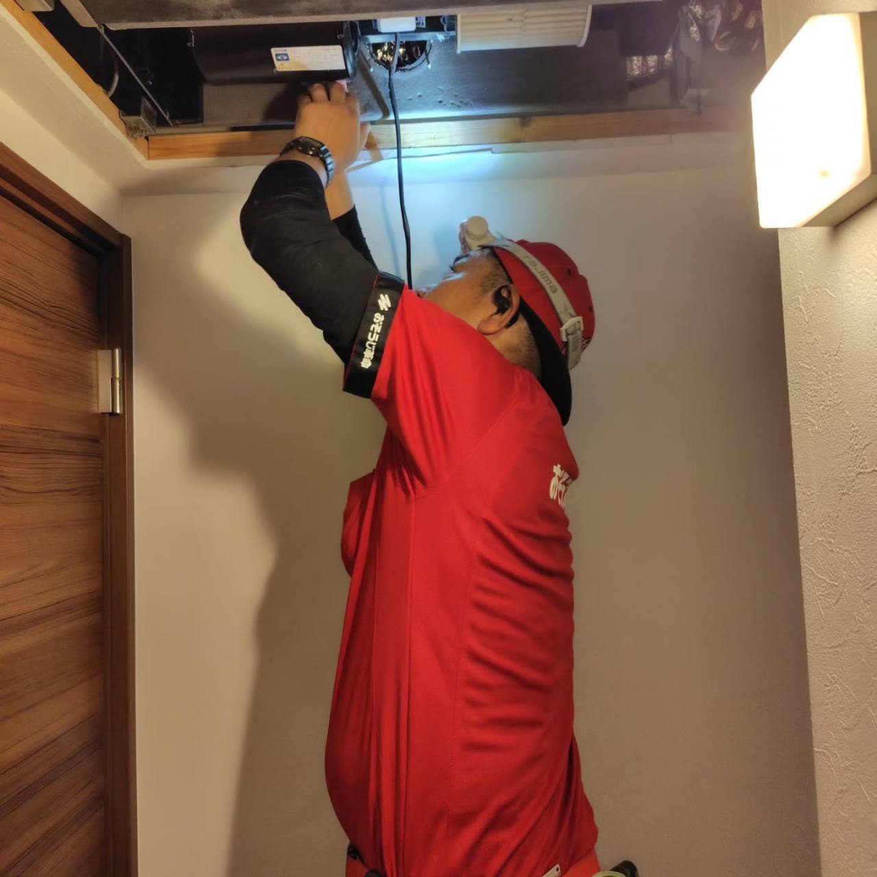 今日は特別な経験をシェアします。