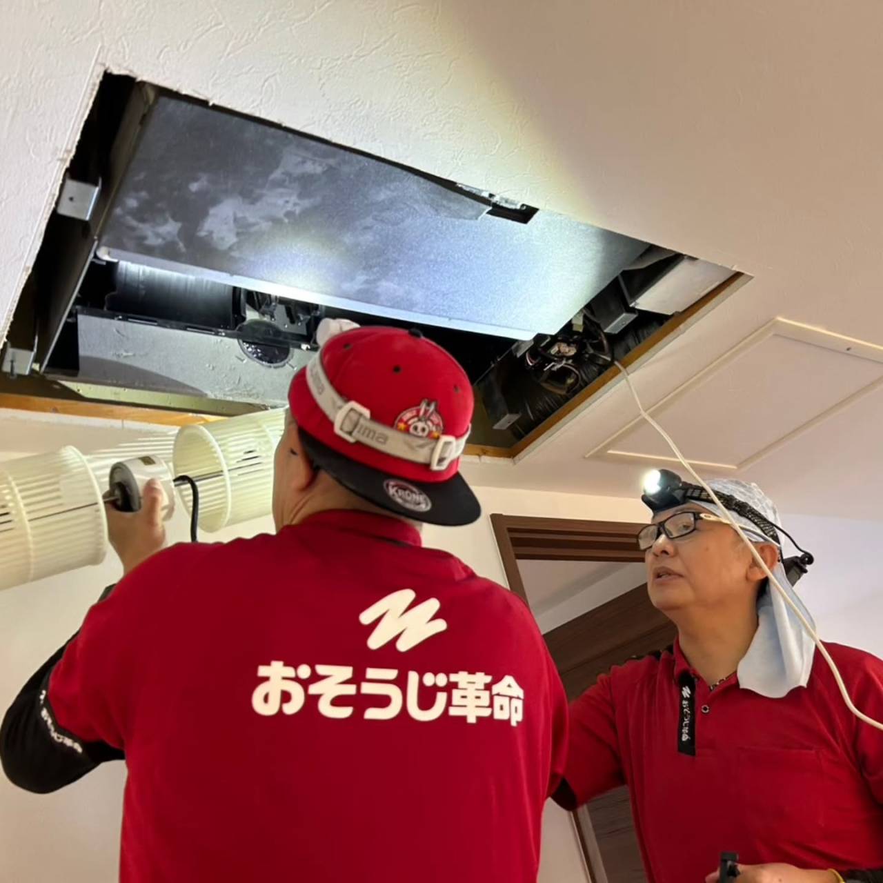 今日は特別な経験をシェアします。