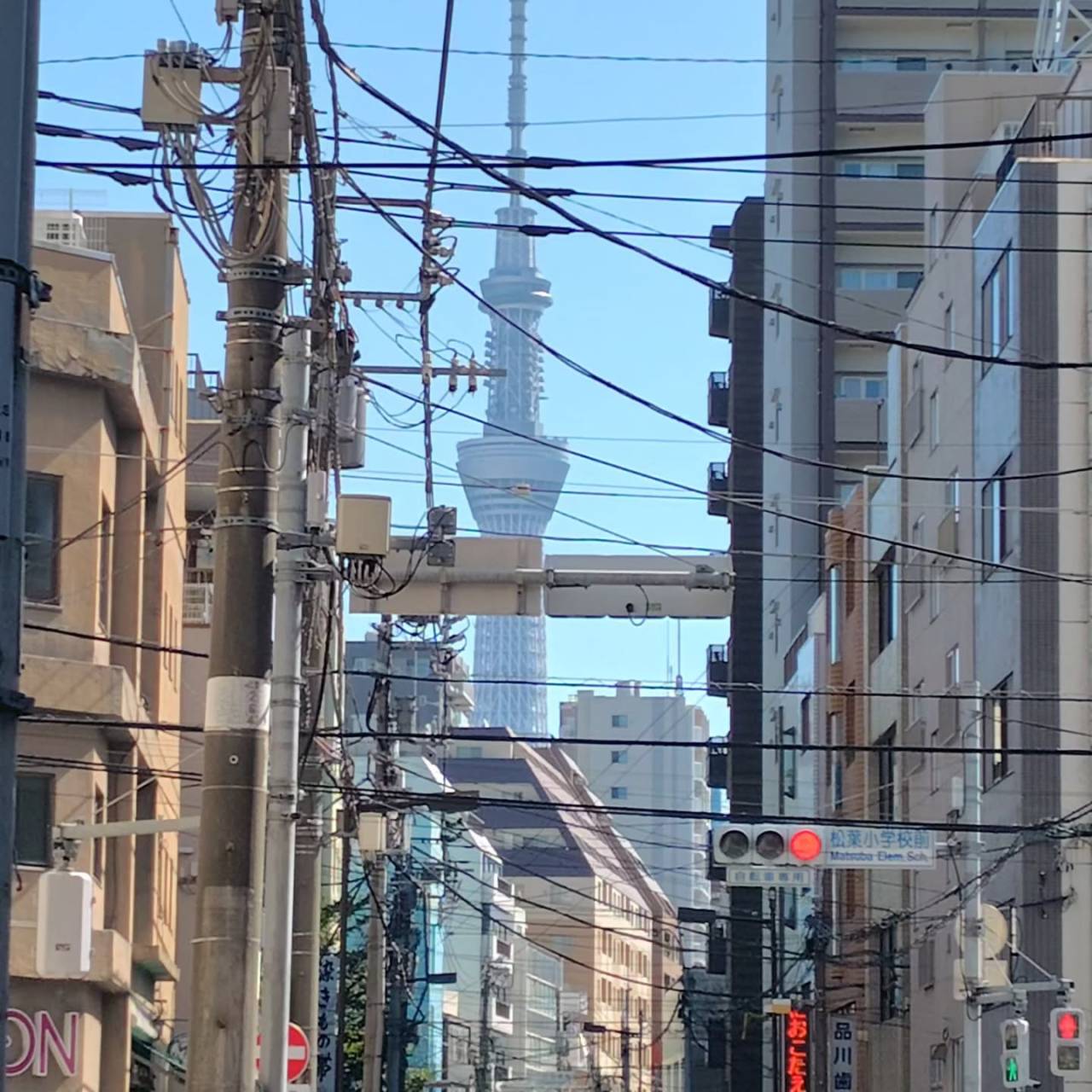 6日間のチャレンジ、完了しました。