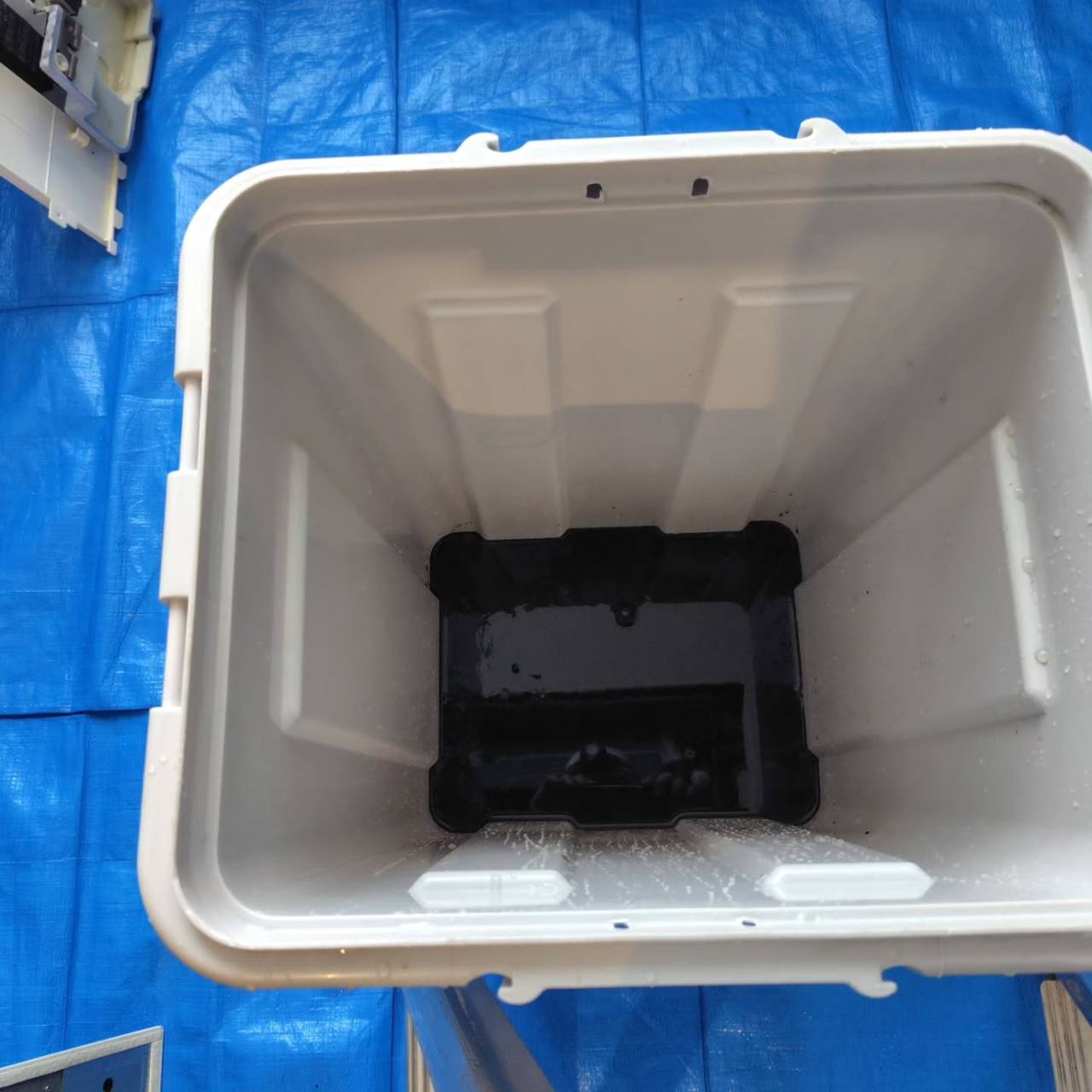 6日間のチャレンジ、完了しました。