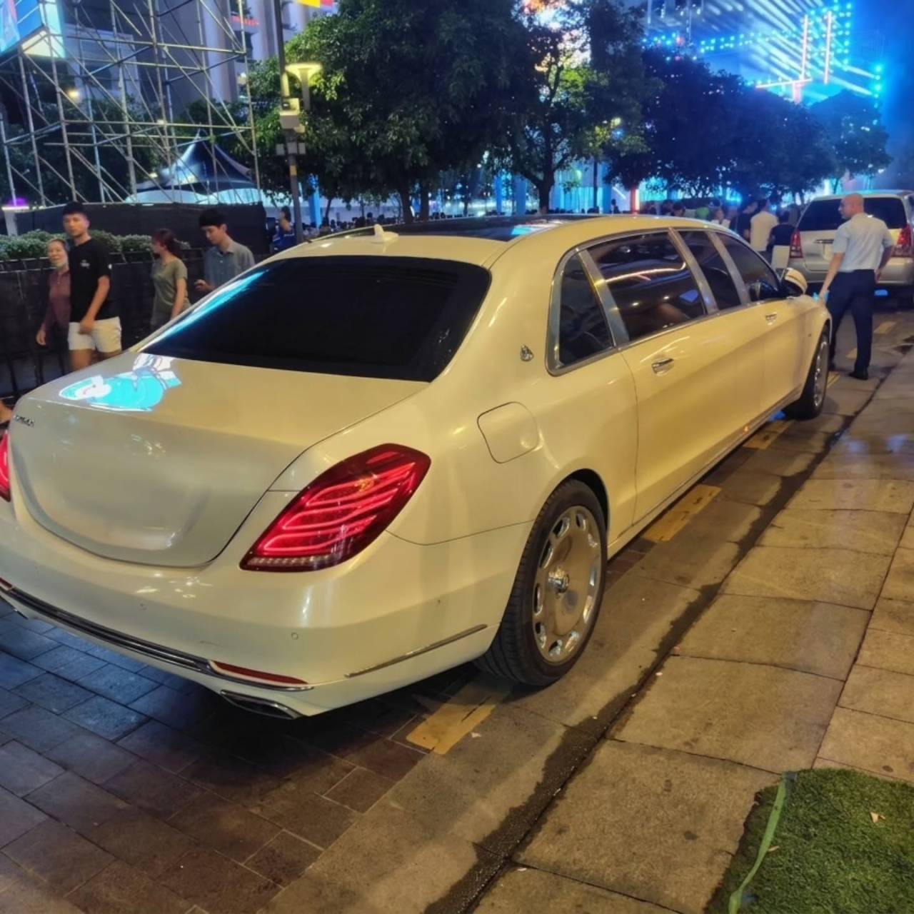 とても素晴らしい存在を目の当たりにしました。