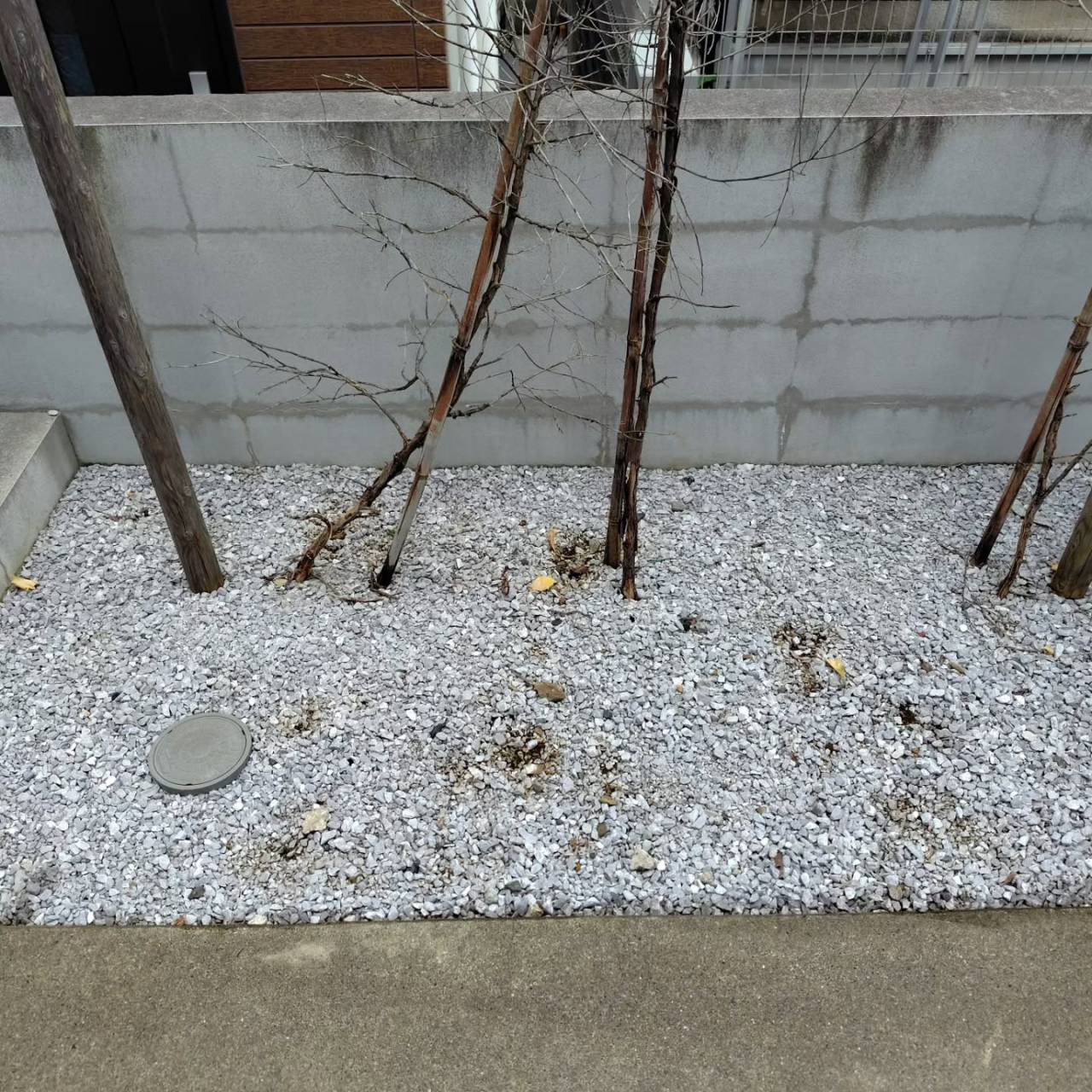 今月も共用部分の定期清掃に取り組みました。