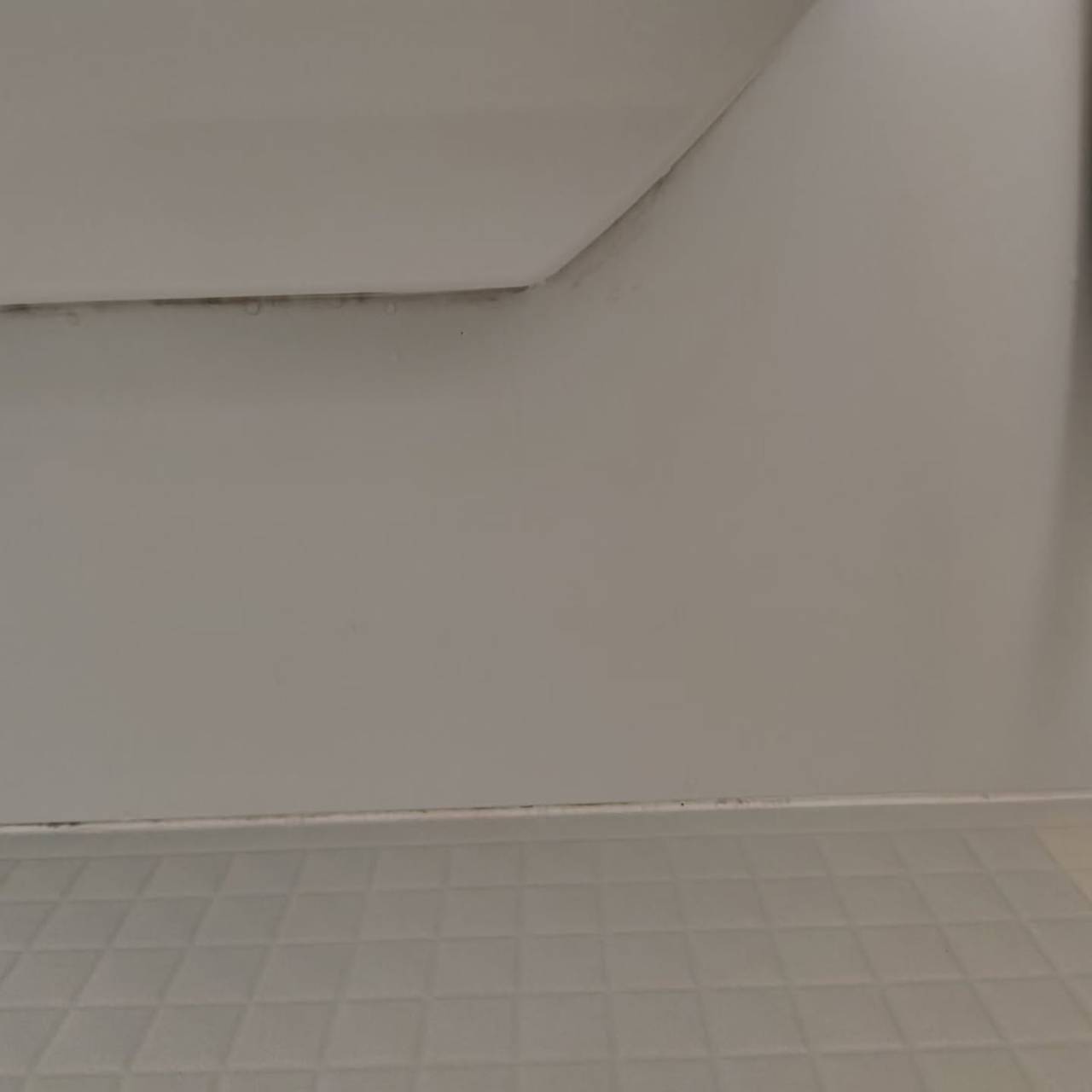 毎週のお風呂掃除でも取りきれない汚れ、気になりませんか?