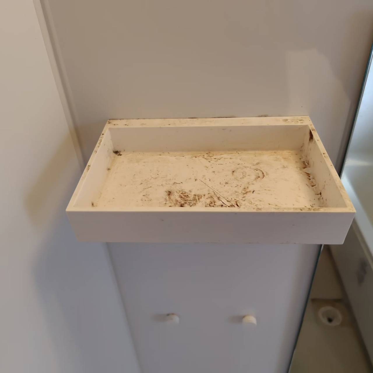 毎週のお風呂掃除でも取りきれない汚れ、気になりませんか?