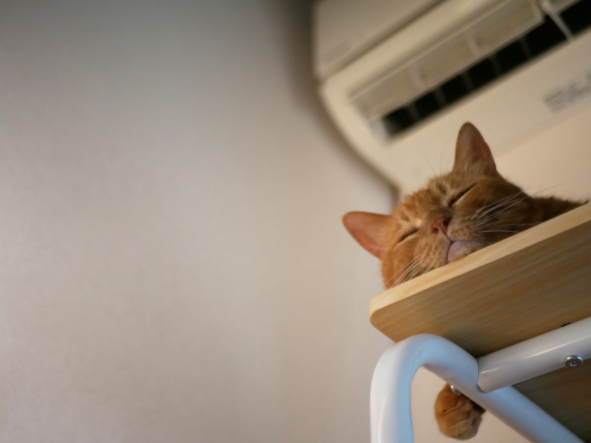 06%e3%82%a8%e3%82%a2%e3%82%b3%e3%83%b3%e3%82%af%e3%83%aa%e3%83%bc%e3%83%8b%e3%83%b3%e3%82%af%e3%82%99-%e3%83%98%e3%82%9a%e3%83%83%e3%83%88%e3%81%ab%e5%84%aa%e3%81%97%e3%81%84