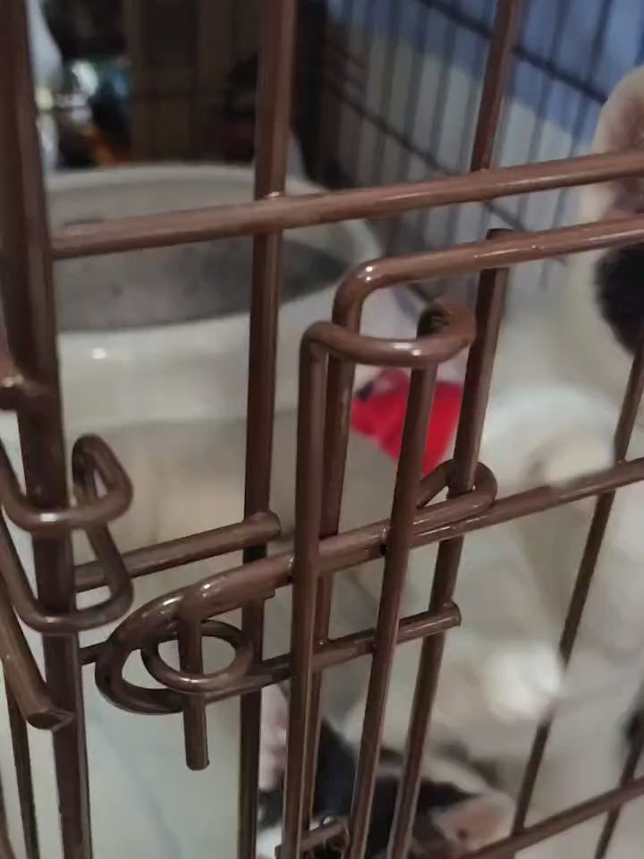 新しい朝が始まりました。