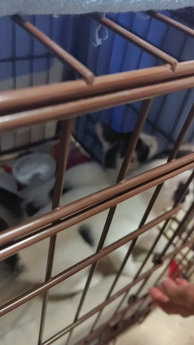 新しい朝が始まりました。