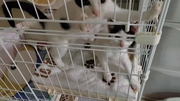 小さな命、しっかり育ってます。