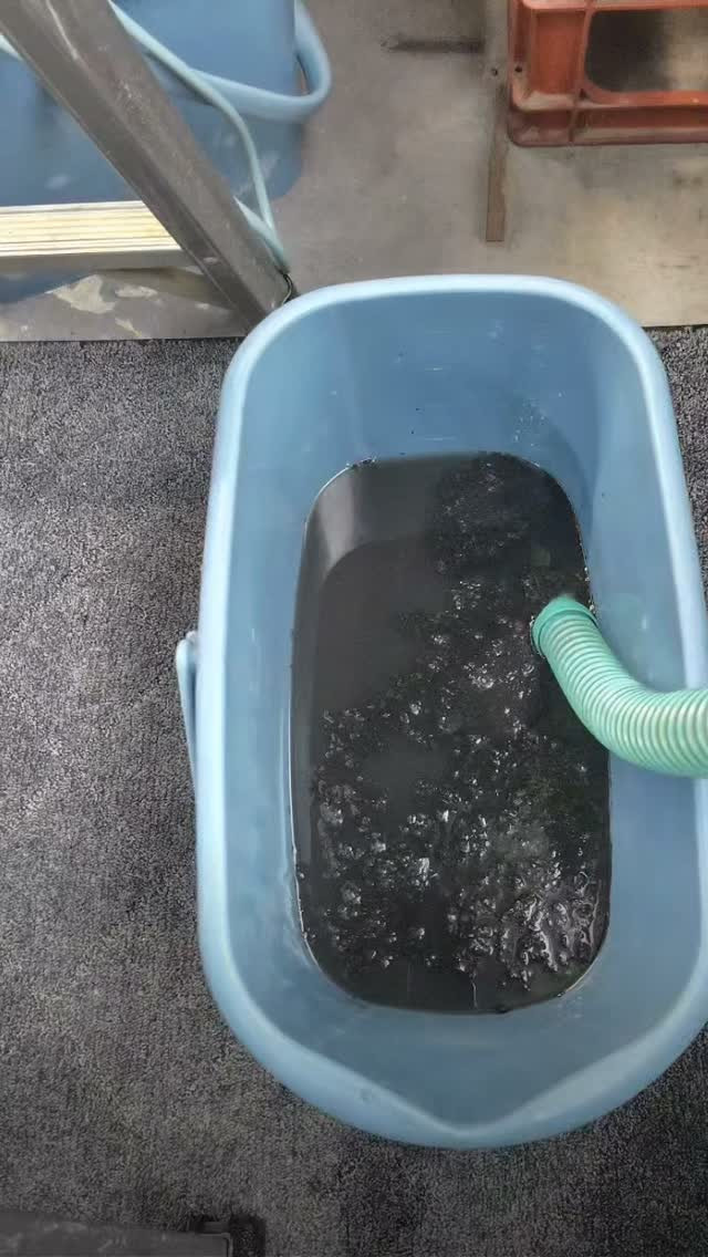 あっという間の1週間が過ぎ去りました。