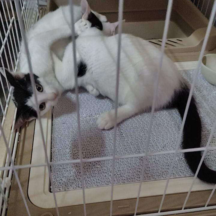 ちょうど2週間が過ぎました。