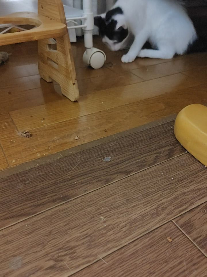 嬉しいお知らせがあります！