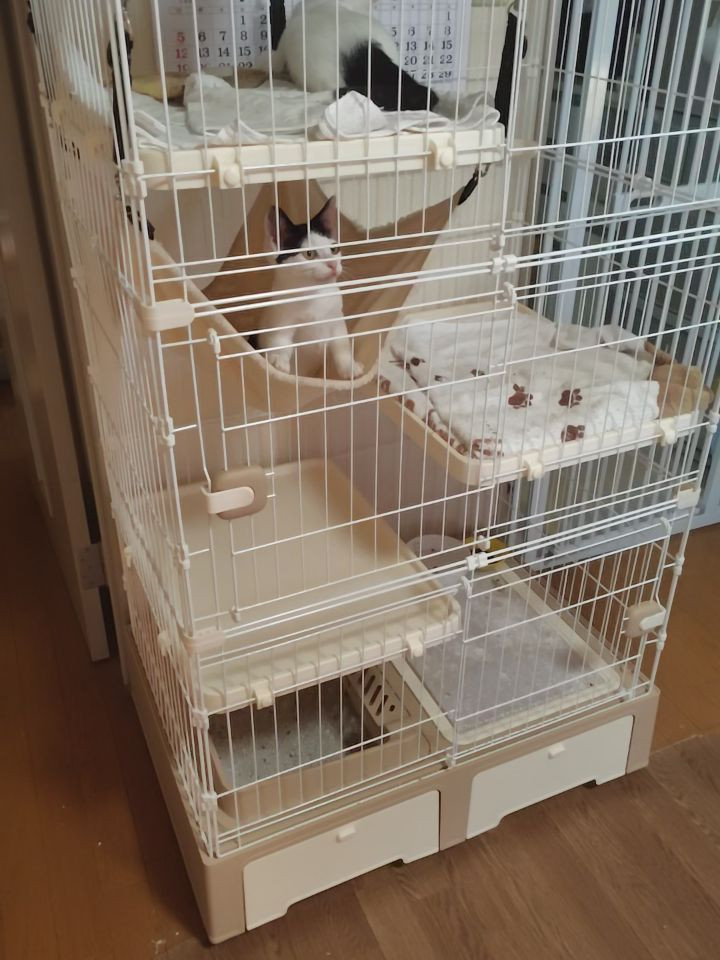 朝の時間です。