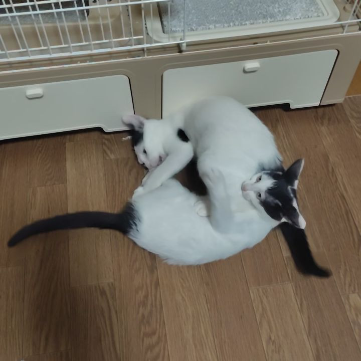 20日が過ぎました。