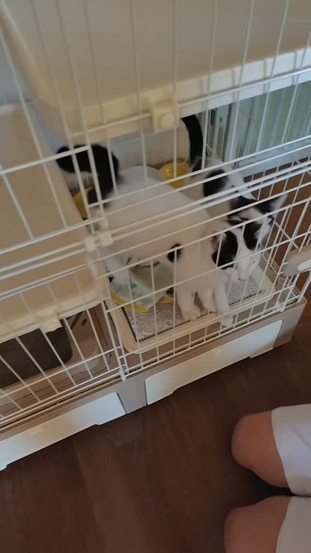毎朝一緒に過ごしたひとときも、今日が最後となりました。